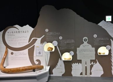 日本展厅设计注意事项有哪些？文中详解一看便知