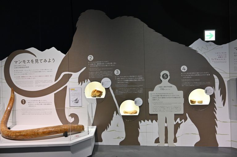 日本展厅设计注意事项