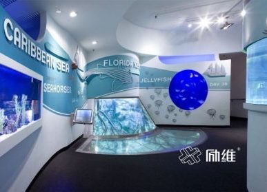 互联网多媒体技术，在展厅中如何应用？