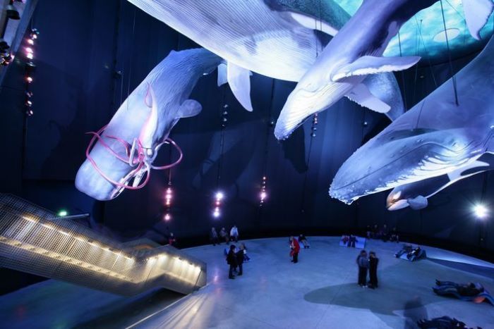 品牌展厅设计，有哪些特点，如何凸显特色